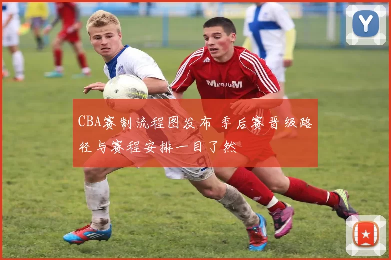 CBA赛制流程图发布 季后赛晋级路径与赛程安排一目了然